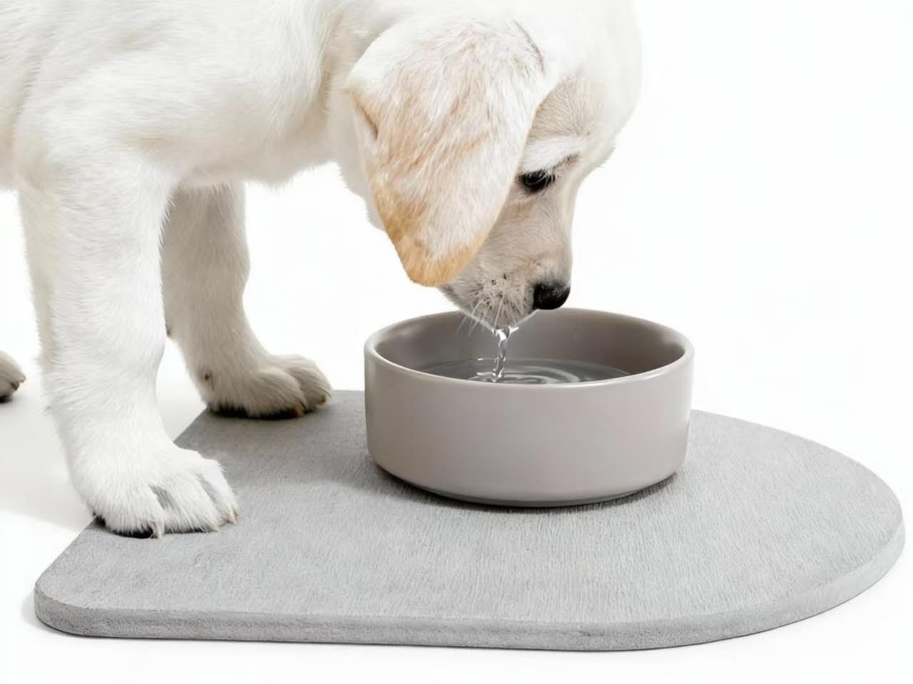 Diatomite Stone Pet Bowl Mat